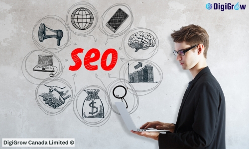 SEO Basics for New Canadian Business Owners