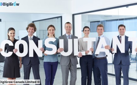 How to Build Authority as an Immigration Consultant Online