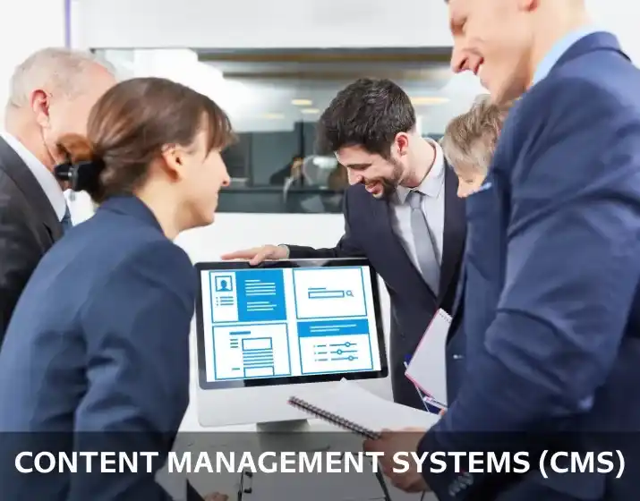 Content Management Systems (CMS)